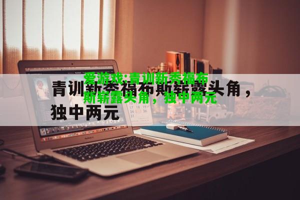 爱游戏:青训新秀福布斯崭露头角，独中两元